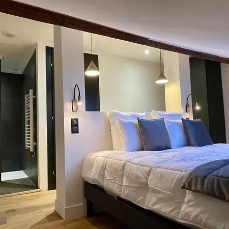 Ξενοδοχείο με διαμερίσματα Alfred - Appart-hotel - - Centre Historique 4*