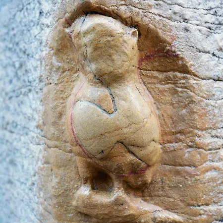 Alfred - Appart-hotel - - Centre Historique Aparthotel