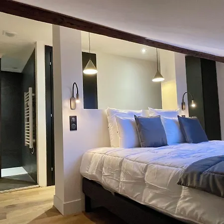 Alfred - Appart-hotel - - Centre Historique 4* Digione
