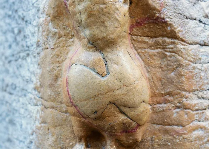 Alfred - Appart-hotel - - Centre Historique アパートホテル